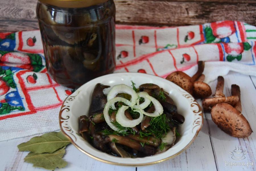 Маринованные опята на зиму