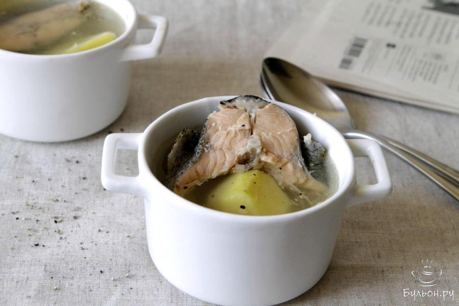 Суп из форели