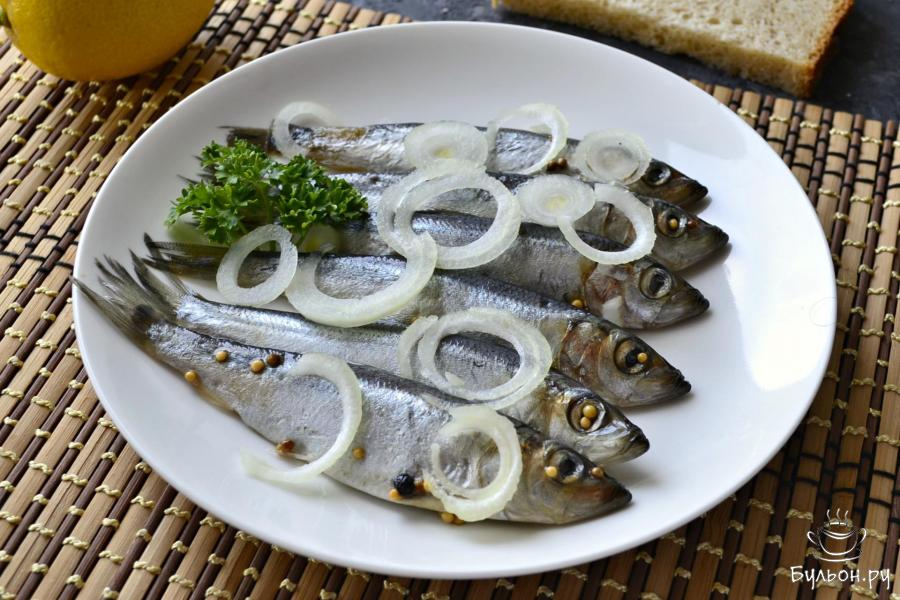 Салака пряного посола в домашних условиях