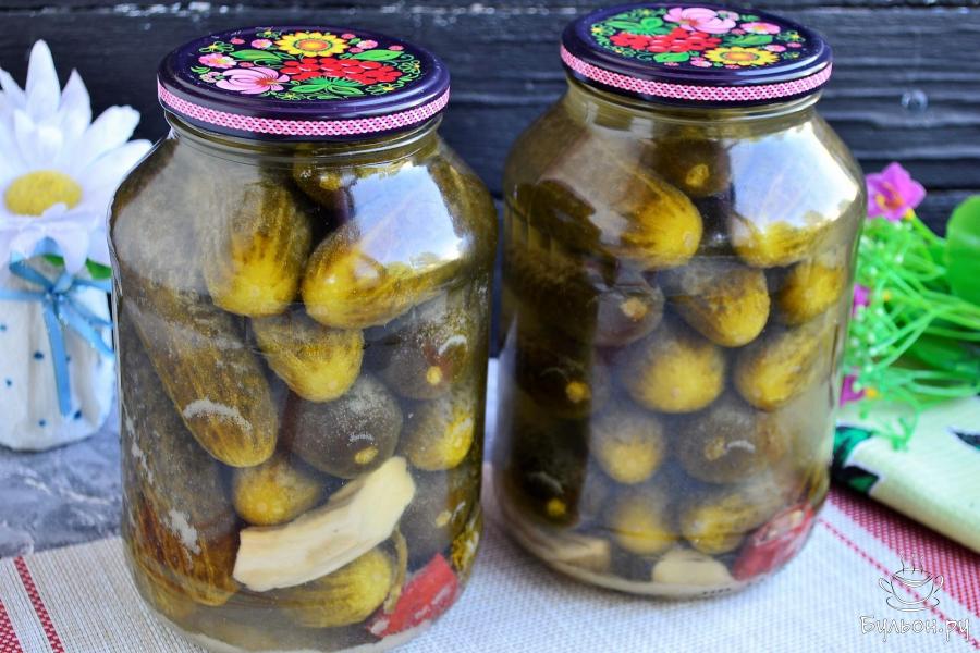Рецепт квашеных огурцов в банках на зиму