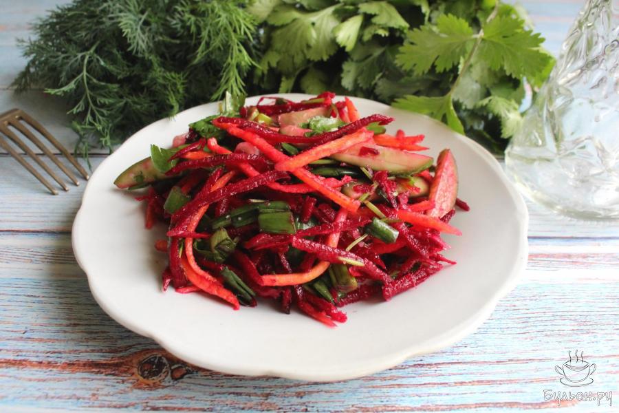 Свекольный салат с огурцами и морковью