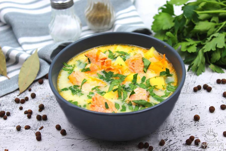 Уха из форели с плавленым сыром