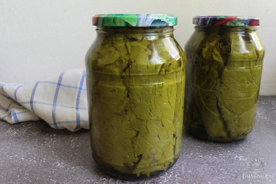Маринованные виноградные листья на зиму