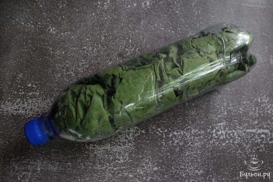 Заготовка виноградных листьев на зиму (сухим способом)