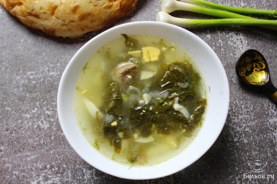 Зеленый борщ со щавелем и яйцом на говяжьем бульоне